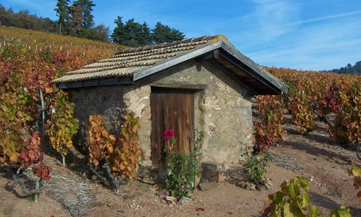 Ancienne cabane du vignoble